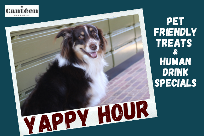 Yappy Hour at Cavalry Court