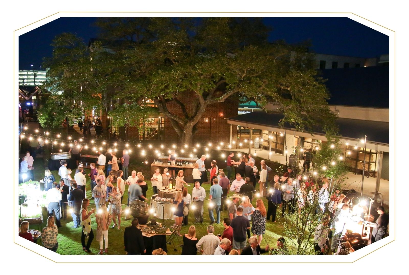Summer Live Music Series